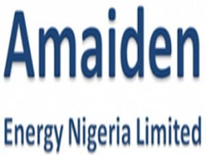 Customer Support Officer needed at Amaiden Energy Nigeria Limited