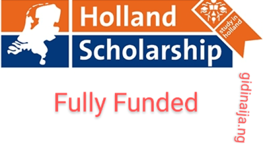 Holland Scholarships 2022/2023 for BSc/MSc Fully Funded(5,000 Euros) - Apply Here