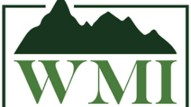 Wells Mountain Initiative Scholarship 2022