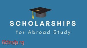 Best Tips To Get A Study Scholarship Abroad