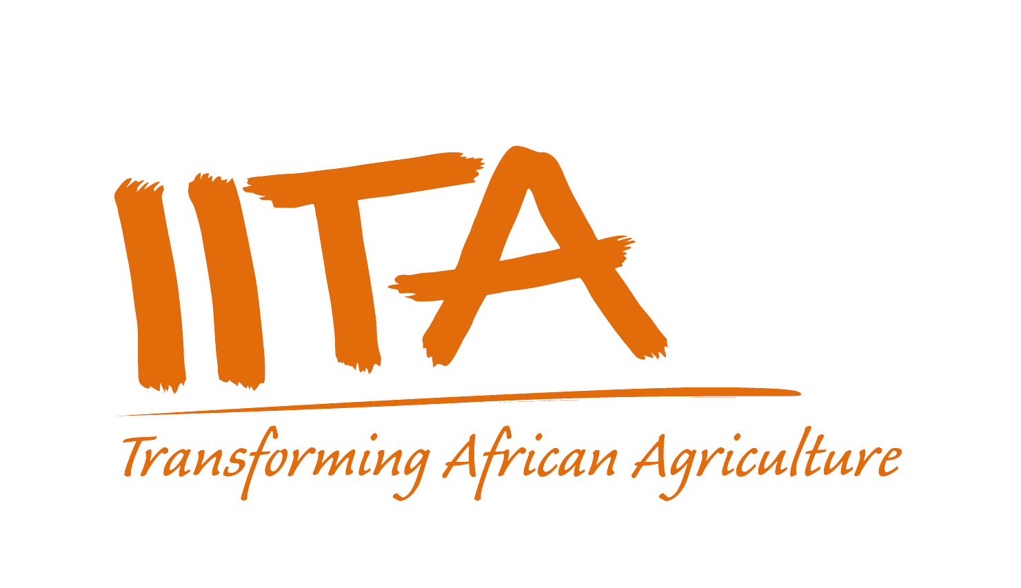 International Institute of Tropical Agriculture Job Recruitment